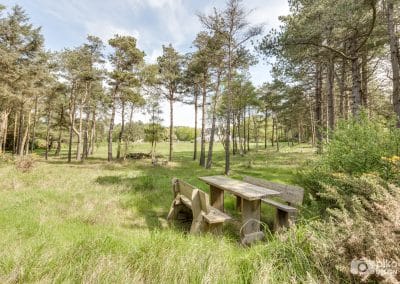 Grounds and gardens photo